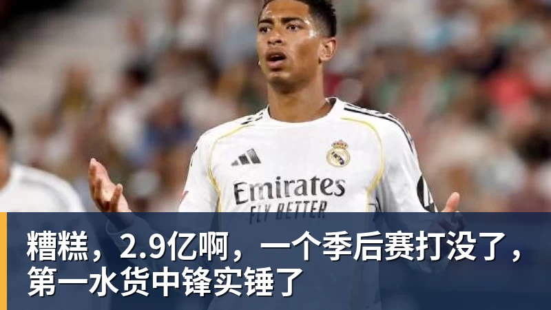 糟糕,2.9亿啊,一个季后赛打没了,第一水货中锋实锤了 - 熊猫体育 | 官方网站·登录入口·APP